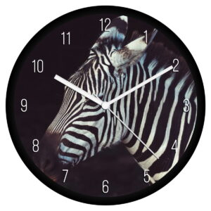 Zebra falióra