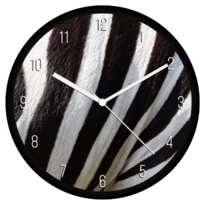 Zebra minta falióra